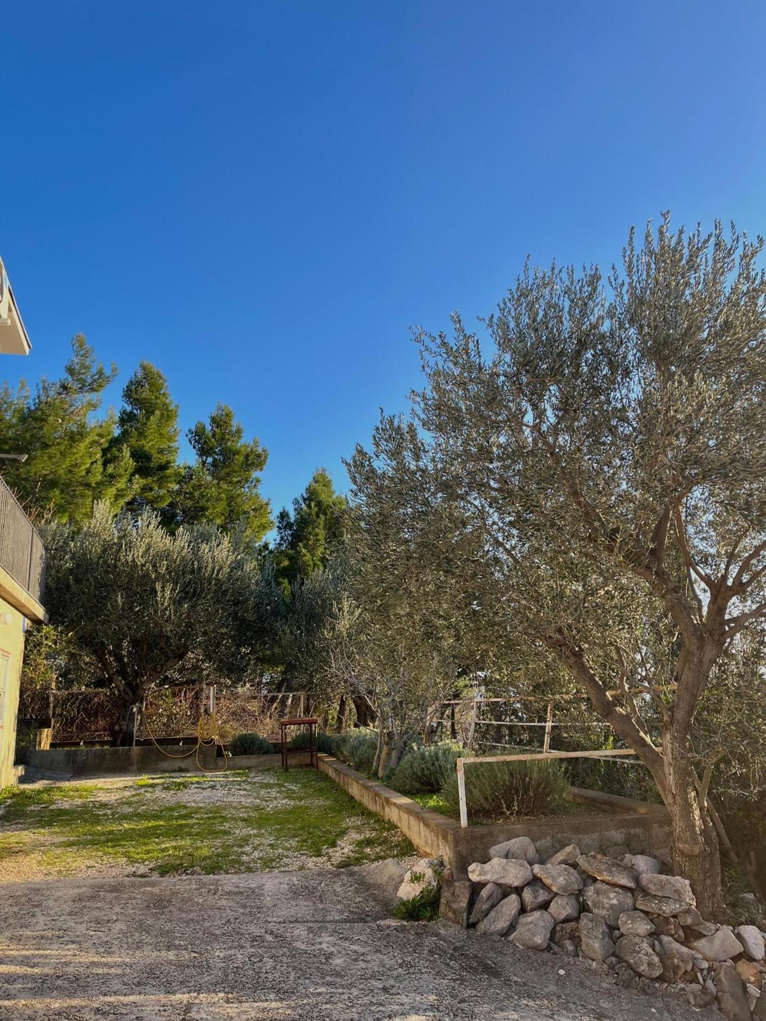 Modern Seaview House Fiore Starigrad Paklenica Eksteriør bilde