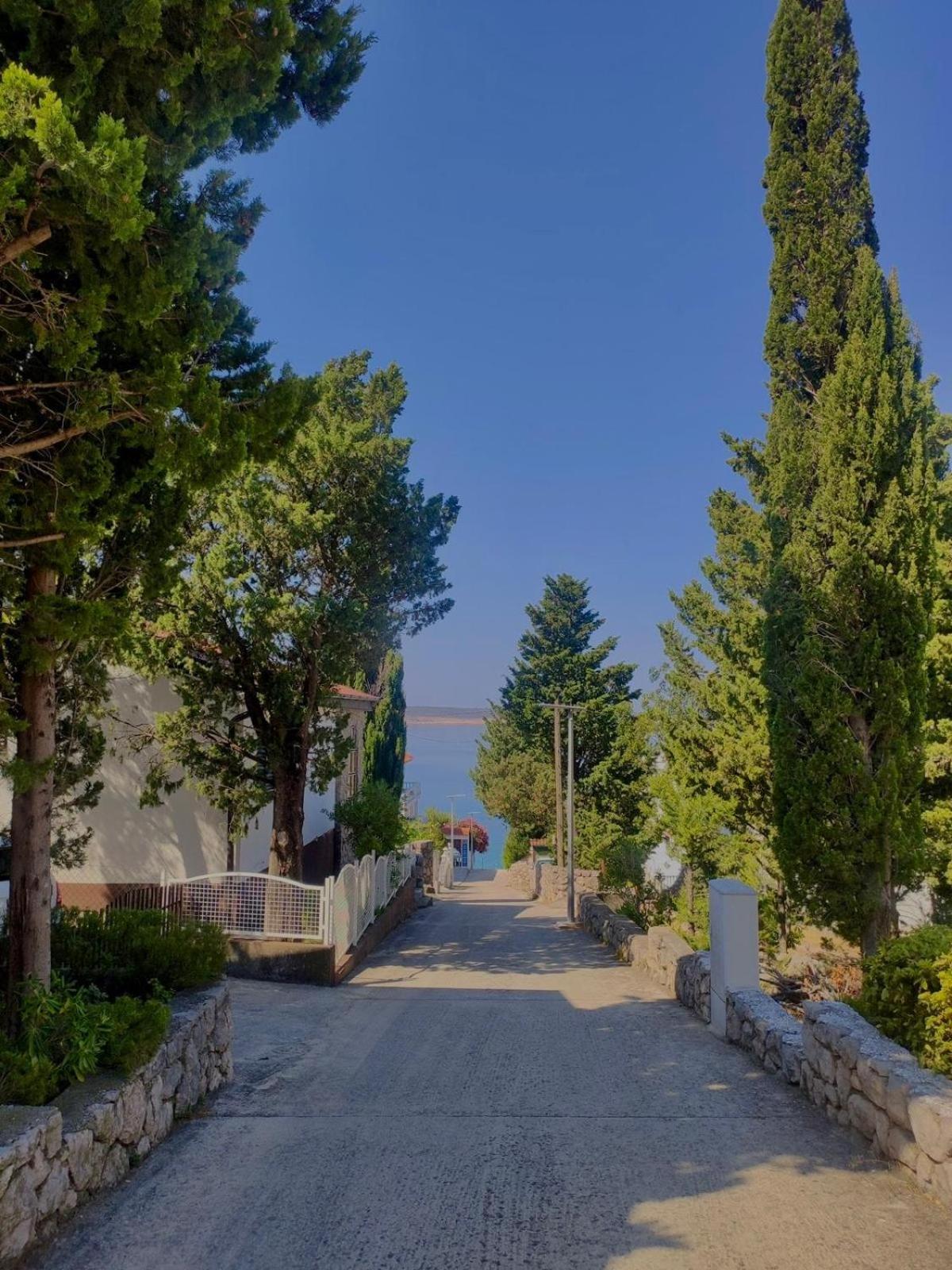 Modern Seaview House Fiore Starigrad Paklenica Eksteriør bilde